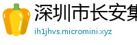 深圳市长安集团有限公司